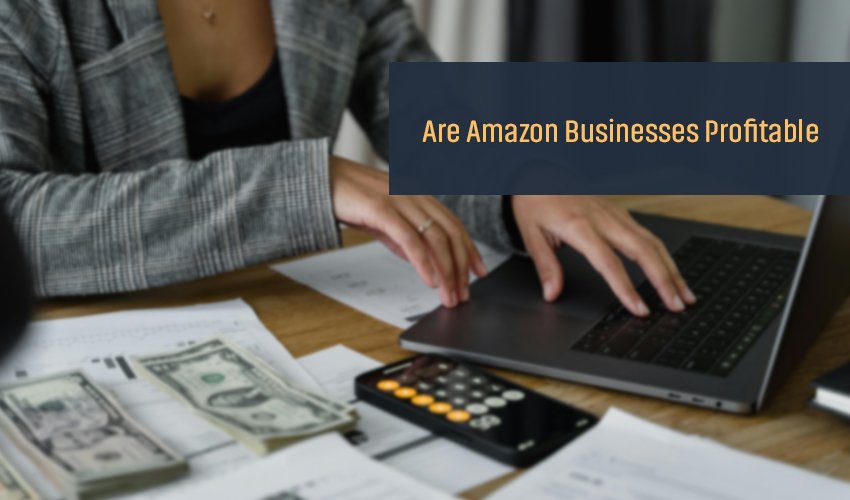 Are Amazon Businesses Profitable