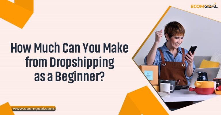 How Much Can You Make from Dropshipping as a Beginner