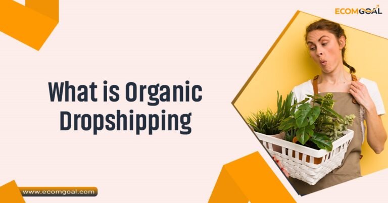 what is organic dropshipping