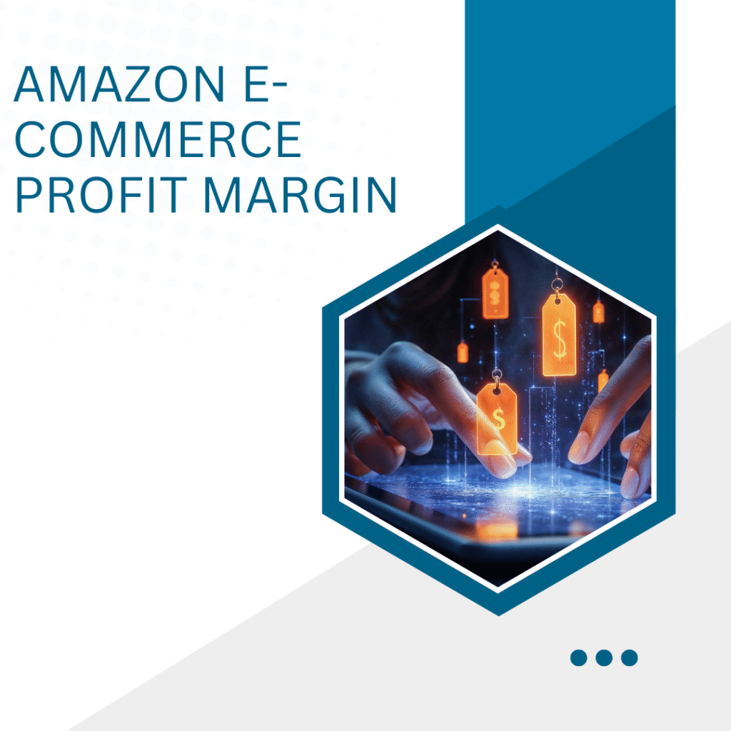 Amazon E-commerce Profit Margin