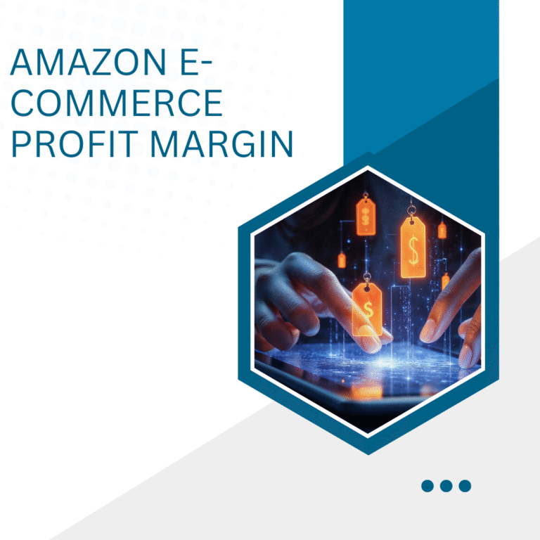 Amazon E-commerce Profit Margin