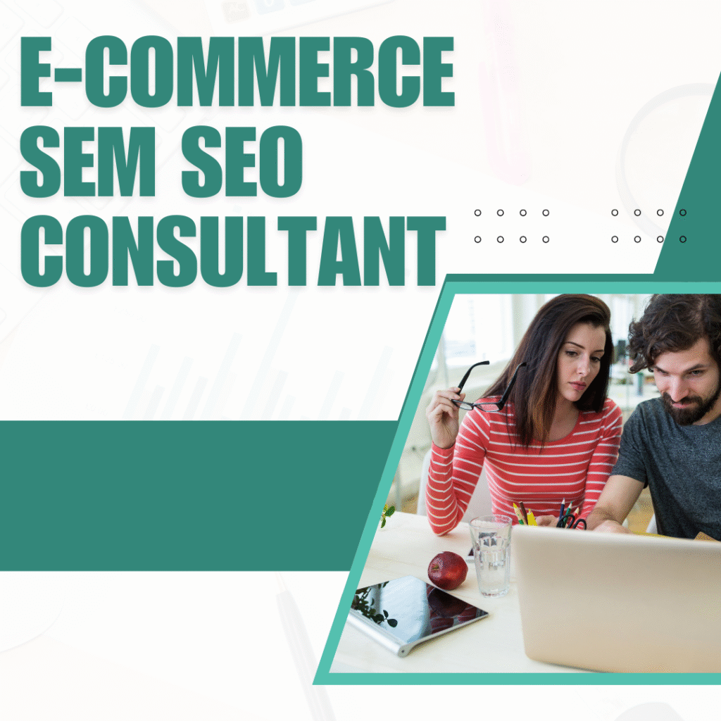 E-commerce Sem Seo Consultant