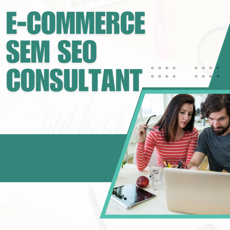 E-commerce Sem Seo Consultant